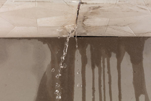 Professional Water Damage Repair technician working in Douglas, MI